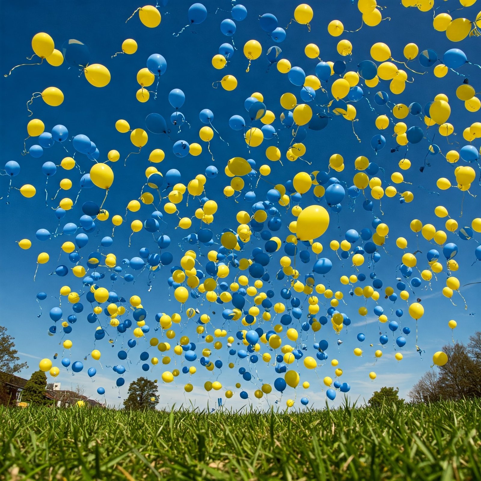 Sweden’s National Day: History, Traditions & Festivities