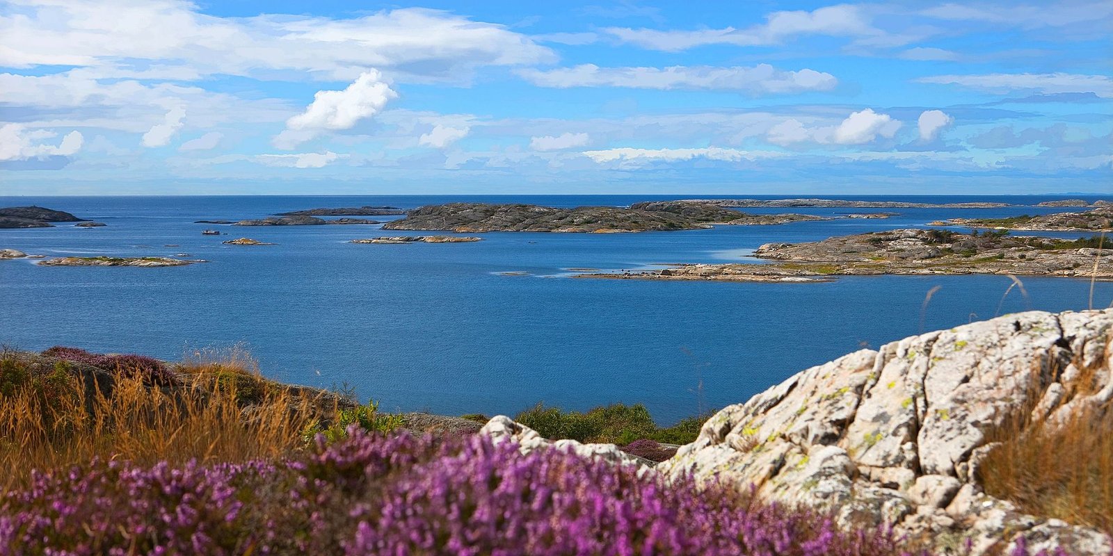 The Koster Islands: A Deep Dive into Sweden's Marine National Park